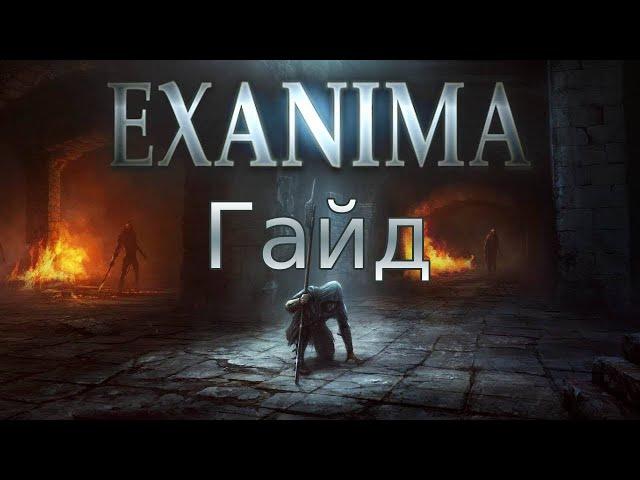 Тактика убийство огра на Експерте (гайд) |Exanima|