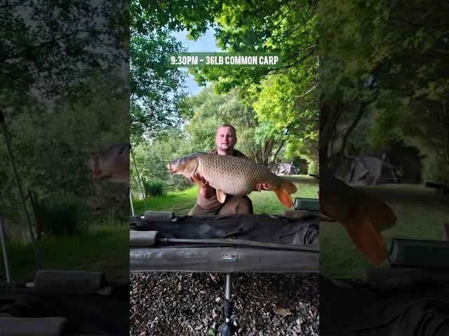 Fishing in France! #fishing #fishingtrip #frenchfishing #carpfishing #carpy #ytshorts #shorts #fish