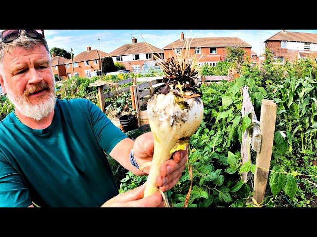 Half My Onions Are Totally Useless | Allotment Gardening With Tony