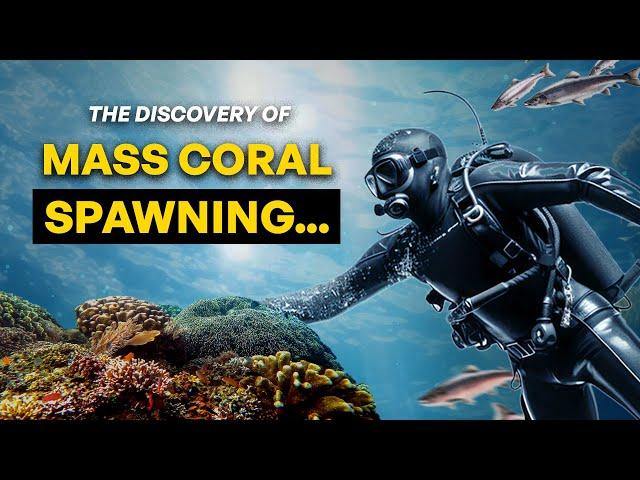 Ocean Mysteries Unlocked: The Great Coral Spawn!