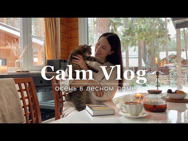 CALM VLOG: осень в лесном доме - почему мы переехали за город? 