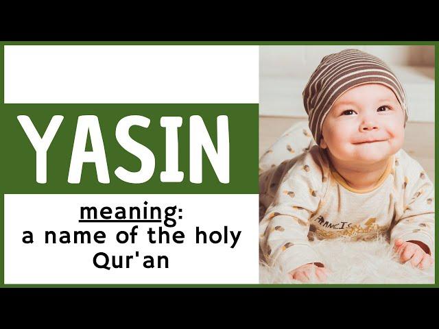 ️ Yasin - Yasin Name Meaning – Yasin Name Status - Muslim baby boy names - Trending Names