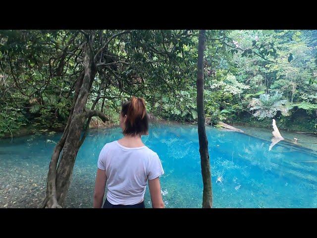 Cape Tribulation | Fishing the Cape, Coconuts & TURQUOISE Swimming Holes