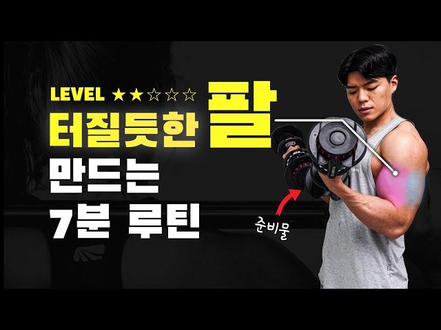 Lv.2 꽉! 차는 머슬핏 만드는 팔 루틴 (이두,삼두) 덤벨필요