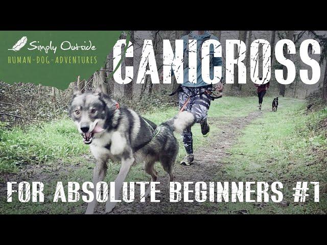 Canicross for absolut Beginners #1