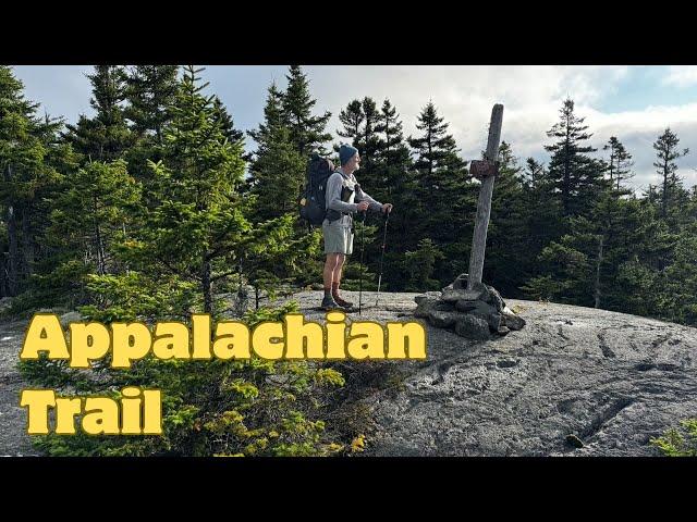 Appalachian Trail 2024 Day 198: Poplar Ridge to Spaulding Mtn