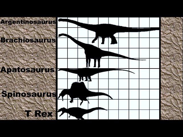 Dinosaur Size Comparison 2D