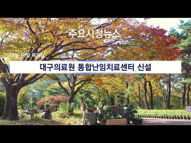 [대구시(시장 홍준표)]241219 대구시정뉴스 2024 - 239호