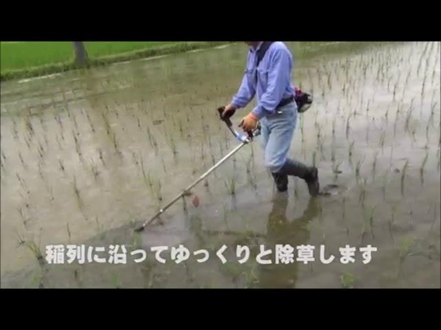 日本水田專用除草刀片 - 晟豐農業機械有限公司