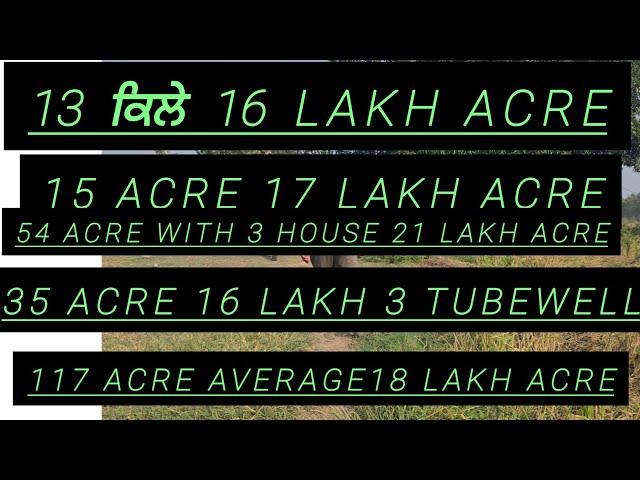 13+15+54 +35= 117  Acre Land with 12 tubewell  for sale in Dasuya  area Hoshiarpur punjab 9316167007