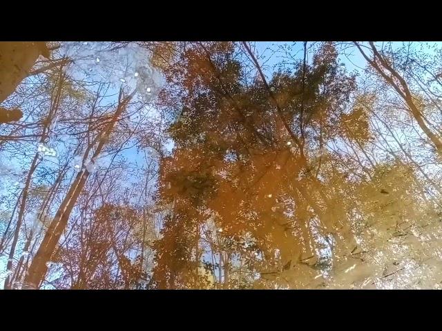 handpan reflejo 2 #nature #meditation #relaxing