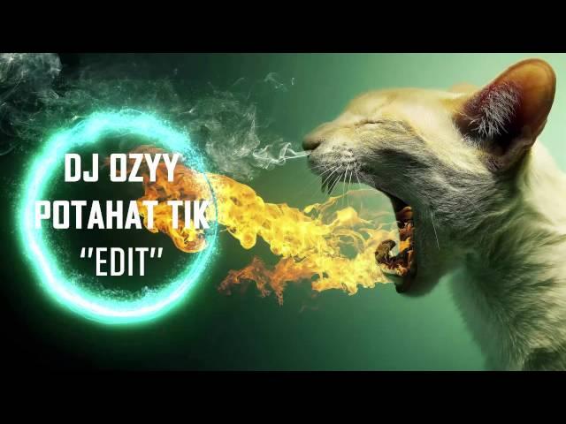 Zvika Brand Ft. 69 & Jah B - Potahat Tik [[Dj OzYy Edit]]