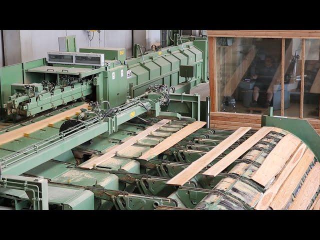 EWD Sägetechnik Besäumtechnik Sägewerk Hosenfeld GmbH & Co KG 2020