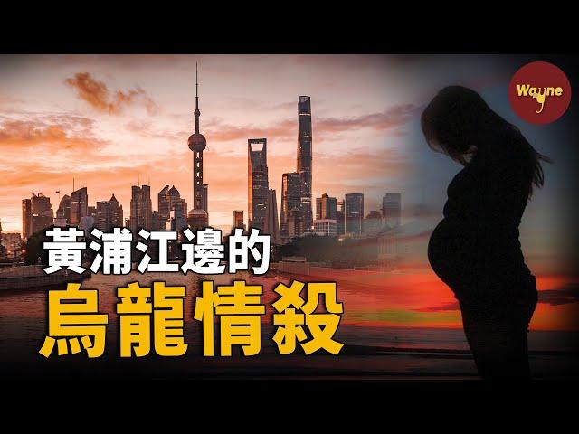 烏龍情殺，兇手被抓後崩潰：我怎麼做了冤大頭 | Wayne調查