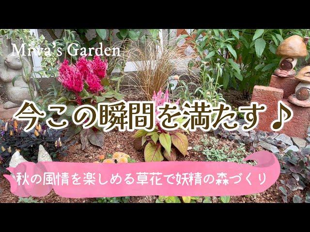 【素敵な秋の庭づくり】秋の庭を彩る長く楽しめる＊おすすめ宿根草と一年草/カレックスで妖精の花壇/ガーデニング