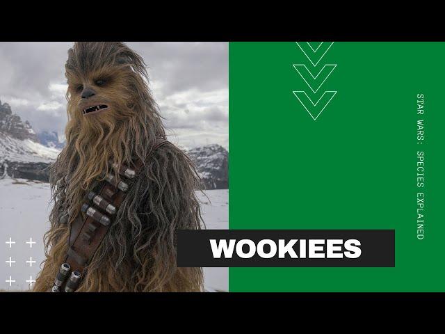 Star Wars Species Explained: Wookiees