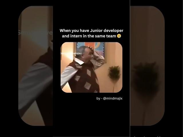 Senior Developer vs Junior vs Intern  #developermemes #codingmemes #funny #comedy #Programmingmemes