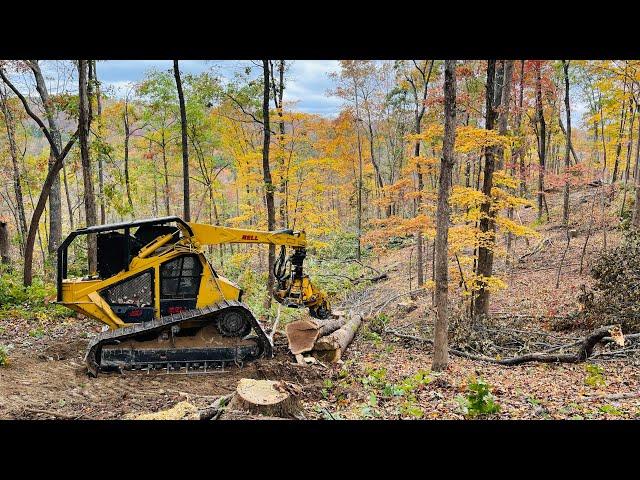 Bell Ultra T Feller Buncher Walk-Around