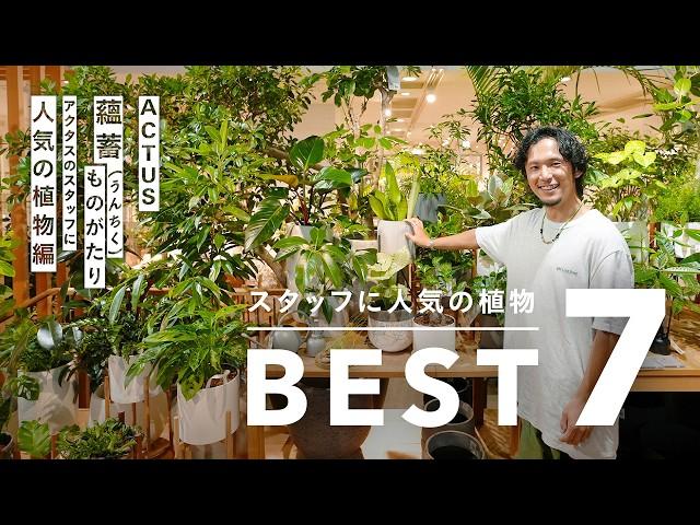 アクタススタッフが実際に育てている観葉植物7選！