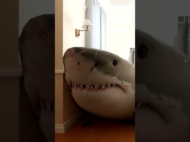 A SHARK BROKE INTO MY HOUSE!