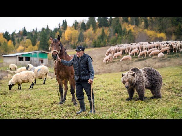 87 Years Among Wolves and Bears: The Legendary Shepherd of the Carpathians