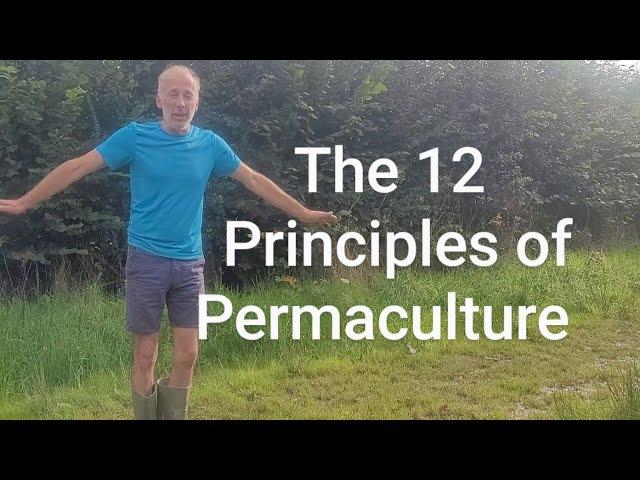 The 12 Principles of Permaculture