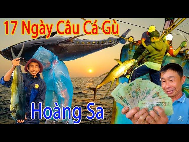 FULL 17 NGÀY CÂU CÁ GÙ BIỂN HOÀNG SA,Khấu Cá Hồi Hộp Từng Giây Từng Phút.