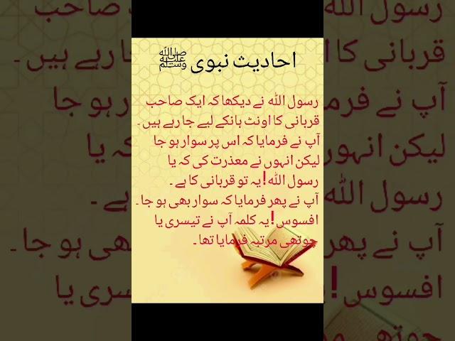 Daily Hadees
