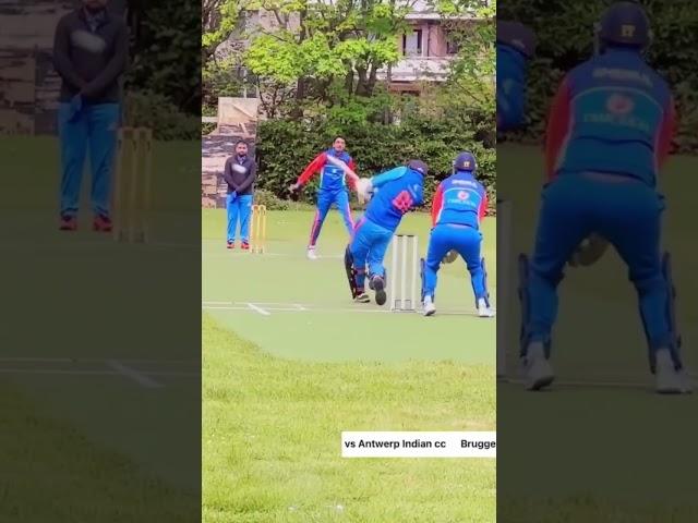 #cricket #cricketlovecricket #cricklove #cricketlover