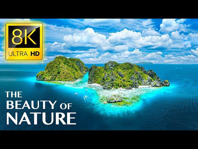 THE BEAUTY OF NATURE 8K ULTRA HD - Tour Around The World with Natural Places and Real Sounds