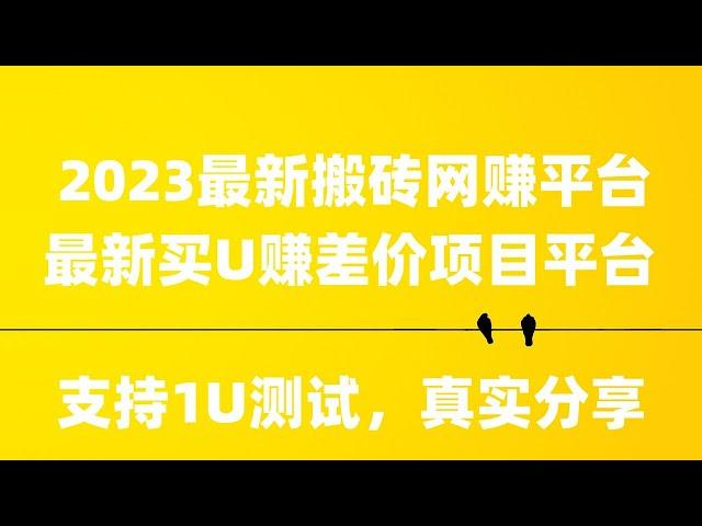 2023最新灰产|网赚项目|网络赚钱 项目|跑分|平台app 实现 财富自由的生活（真实网站实战演示）