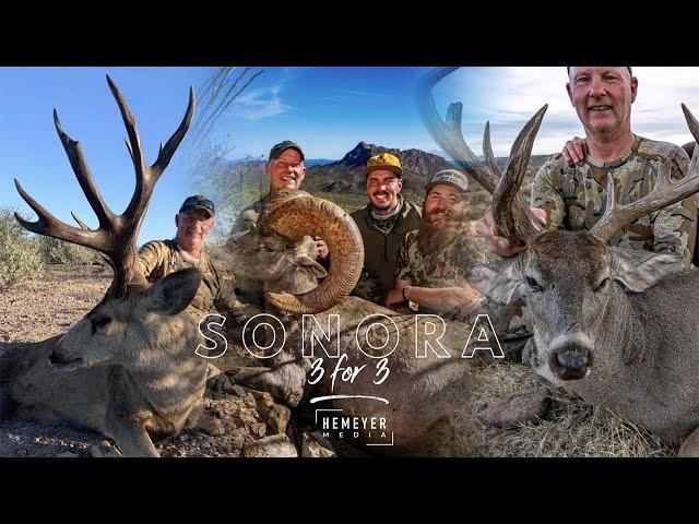 3 FOR 3 - SONORA HUNTING DREAMS