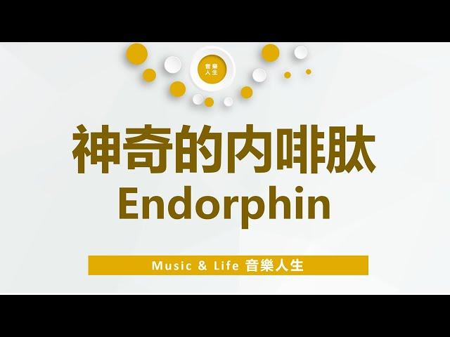 神奇的内啡肽 Endorphin