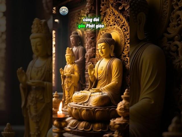 Phật ngồi trên đầu, lòng còn dưới chân #thuctinhtam #phatgiao #baihoccuocsong