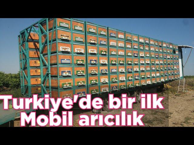 Yeni sistem modern tır üstü mobil arıcılık