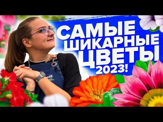 БЕРИТЕ ИХ в 2024! ТОП НИЗКОРОСЛЫХ ЦВЕТОВ 2023 года от #семенаалтая