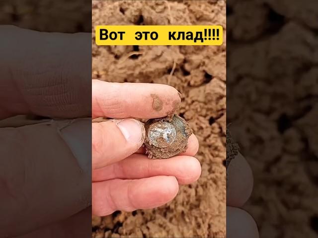 ТАЙНА НАХОДКИ!!#metaldetector#коп#deus#клад#