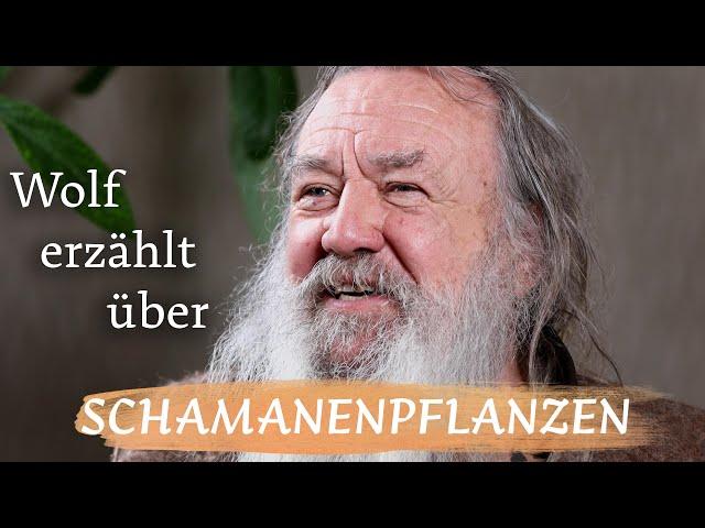 Schamanenpflanzen – was können wir von ihnen lernen?