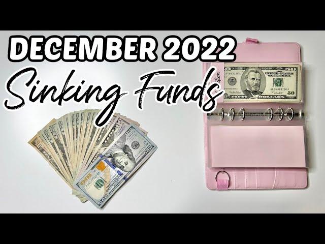 SINKING FUNDS UPDATE | Cash Envelope System | Budget for Beginners | MONETS MONEY