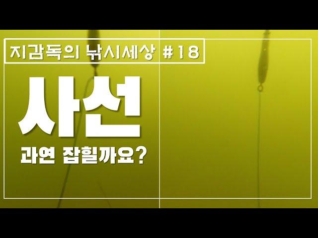 사선이 정말 잡힐까? 사선 수중촬영, 묻고 더블로 가!