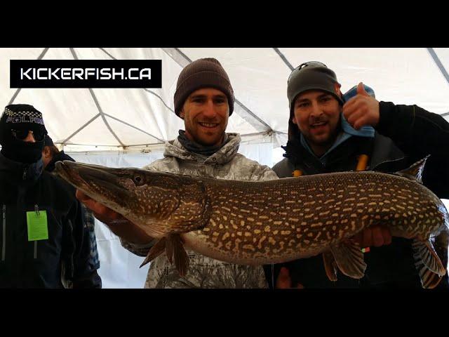 Falcon Lake Winter Fish-Off 2015 - Kickerfish 5m Recap