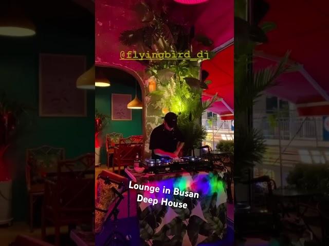 Lounge Pub Deep House, 부산 라운지 펍 하우스 음악