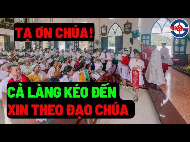 Tin Mới! Bất Ngờ Chuyện Lạ Có Thật Tại Giáo Phận Bắc Ninh - Tạ Ơn Chúa