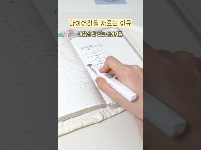 다꾸가 마음에 안 들 때는 과감하게 #스타일핏 #발색테스트