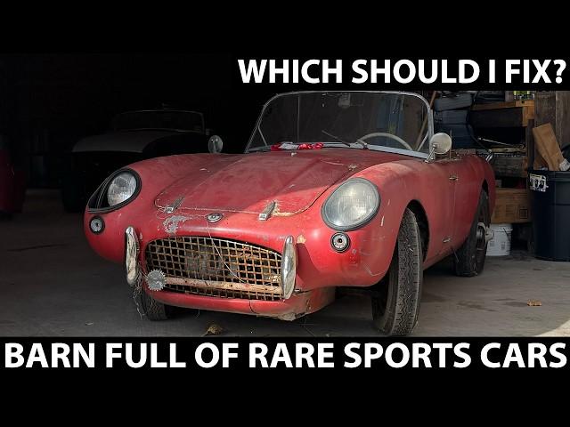 This Shed Was Full of Rare Abandoned Sports Cars