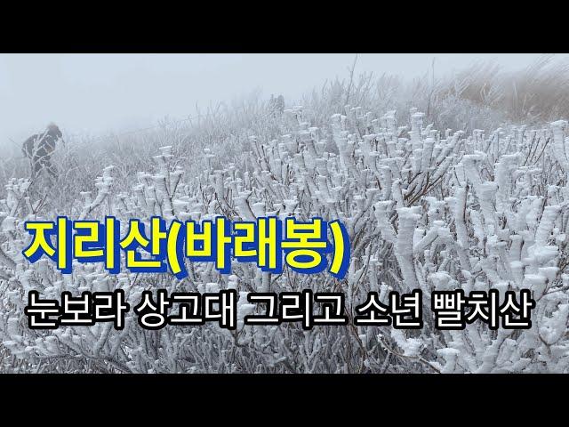 241221 / 지리산(바래봉) / 눈보라 상고대 그리고 소년 빨치산 / 용산주차장-바래봉삼거리-바래봉-바래봉삼거리-용산주차장