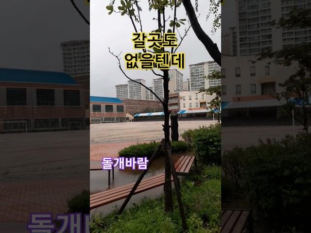 [돌개바람]나훈아, 바람,운동장,#shorts .