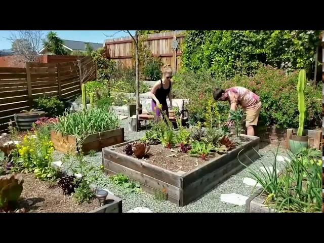 Clearing & Amending "No Till" Garden Bed Soil - Timelapse