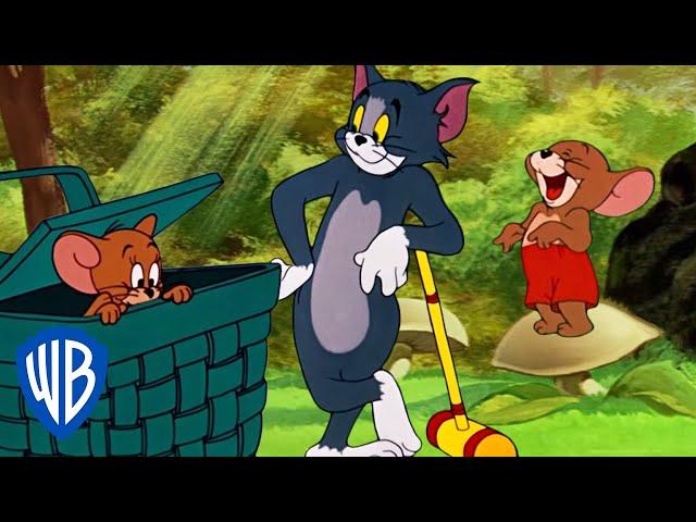 Tom y Jerry en Español | ¡Un poco de aire fresco! | WB Kids