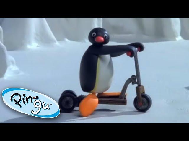 The NEW Scooter!  | Pingu - Official Channel | Cartoons For Kids